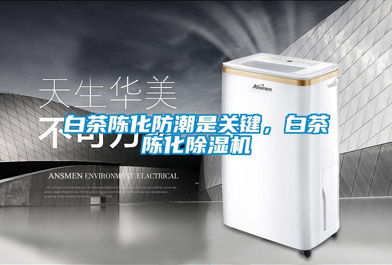 白茶陳化防潮是關鍵，白茶陳化除濕機