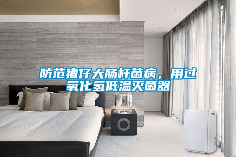 防范豬仔大腸桿菌病，用過(guò)氧化氫低溫滅菌器