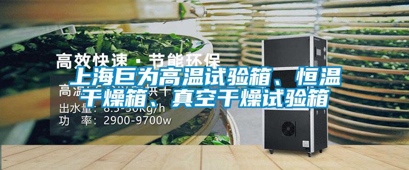 上海巨為高溫試驗(yàn)箱、恒溫干燥箱、真空干燥試驗(yàn)箱