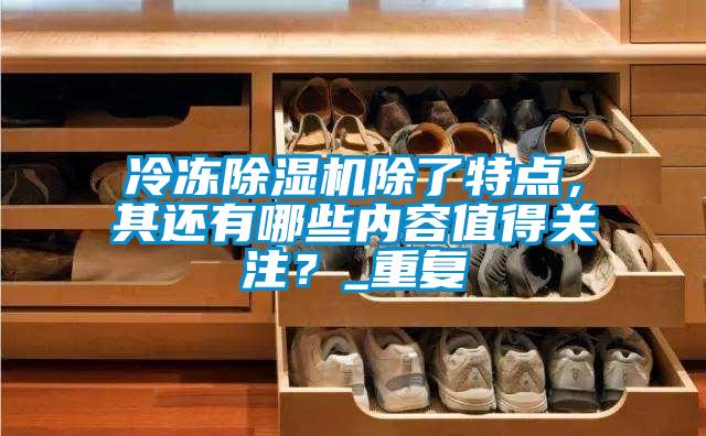 冷凍除濕機(jī)除了特點(diǎn)，其還有哪些內(nèi)容值得關(guān)注？_重復(fù)