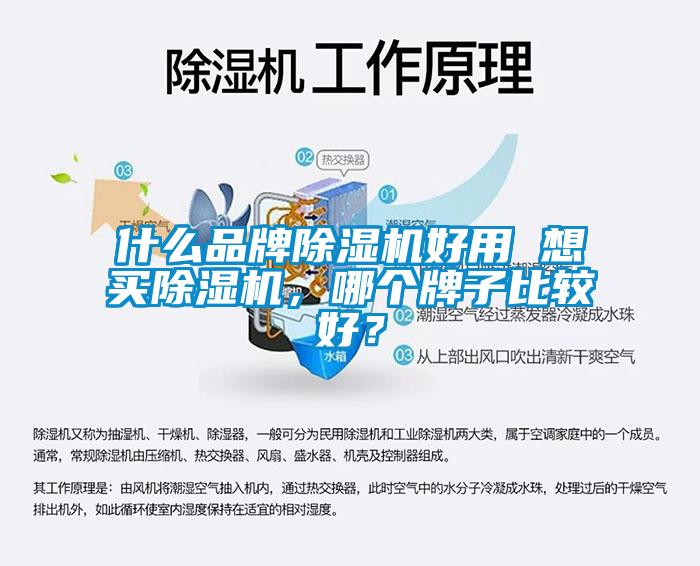 什么品牌除濕機(jī)好用 想買除濕機(jī)，哪個(gè)牌子比較好？