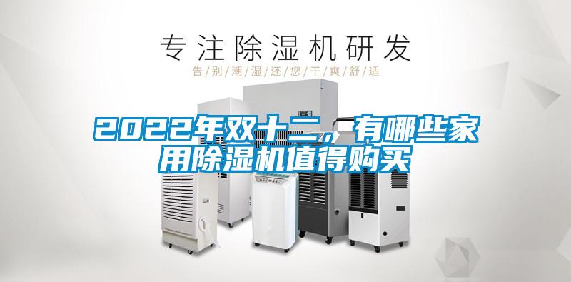 2022年雙十二，有哪些家用除濕機(jī)值得購買