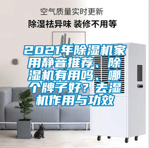 2021年除濕機家用靜音推薦、除濕機有用嗎、哪個牌子好？去濕機作用與功效
