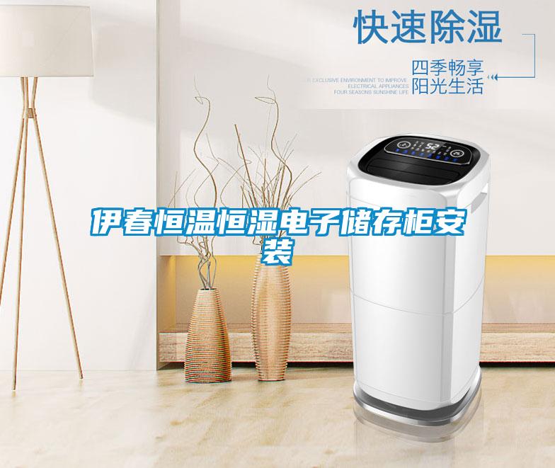 伊春恒溫恒濕電子儲存柜安裝