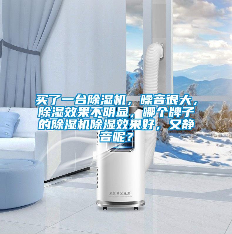 買(mǎi)了一臺(tái)除濕機(jī)，噪音很大，除濕效果不明顯，哪個(gè)牌子的除濕機(jī)除濕效果好，又靜音呢？