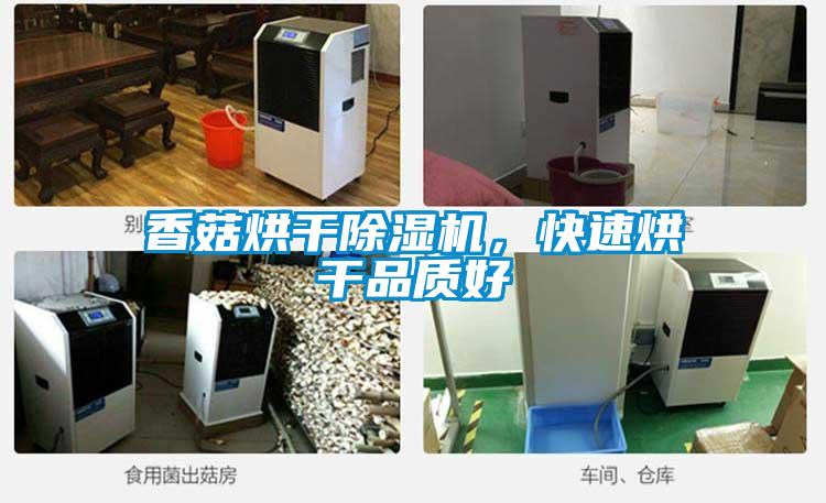 香菇烘干除濕機，快速烘干品質(zhì)好