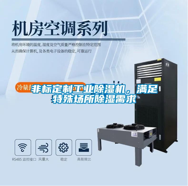 非標(biāo)定制工業(yè)除濕機(jī)，滿足特殊場(chǎng)所除濕需求