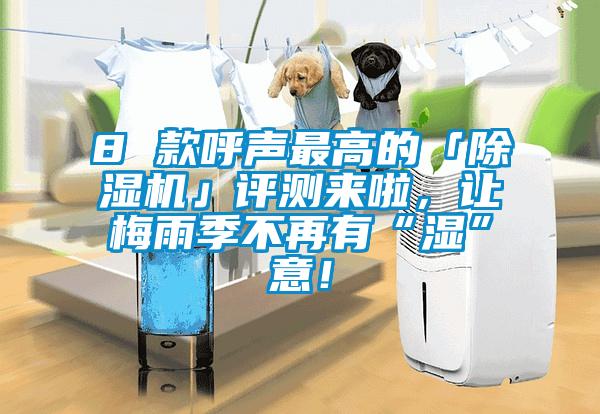 8 款呼聲最高的「除濕機(jī)」評(píng)測(cè)來啦，讓梅雨季不再有“濕”意！