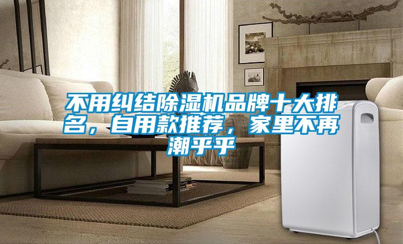 不用糾結(jié)除濕機(jī)品牌十大排名，自用款推薦，家里不再潮乎乎