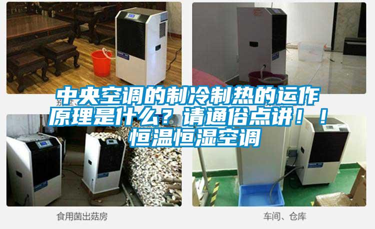 中央空調(diào)的制冷制熱的運(yùn)作原理是什么？請(qǐng)通俗點(diǎn)講??！ 恒溫恒濕空調(diào)