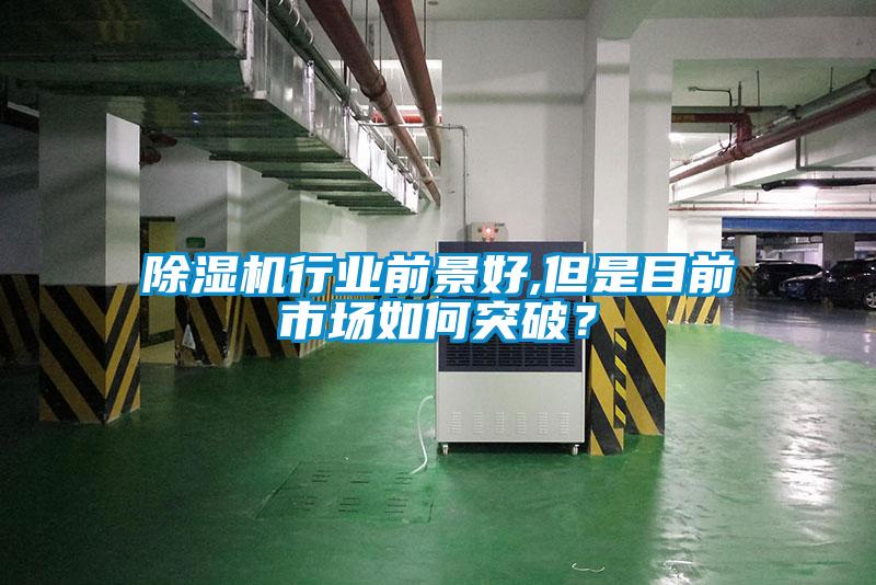 除濕機(jī)行業(yè)前景好,但是目前市場如何突破？