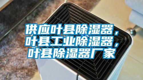 供應(yīng)葉縣除濕器，葉縣工業(yè)除濕器，葉縣除濕器廠家