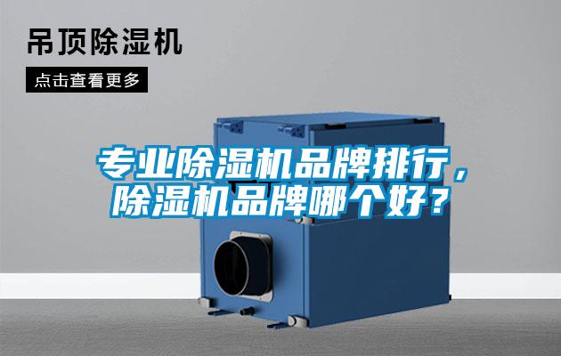 專業(yè)除濕機(jī)品牌排行，除濕機(jī)品牌哪個(gè)好？