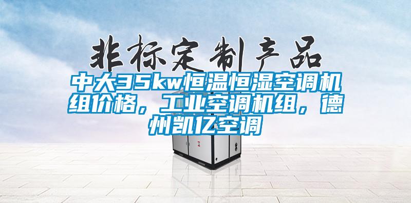 中大35kw恒溫恒濕空調(diào)機(jī)組價格，工業(yè)空調(diào)機(jī)組，德州凱億空調(diào)