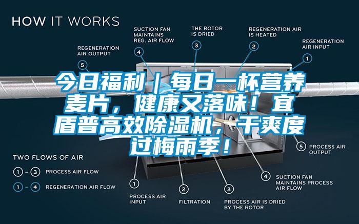 今日福利｜每日一杯營養(yǎng)麥片，健康又落味！宜盾普高效除濕機(jī)，干爽度過梅雨季！