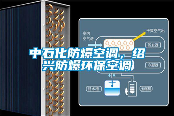 中石化防爆空調(diào)，紹興防爆環(huán)?？照{(diào)