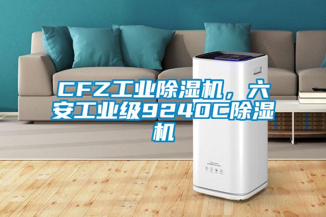 CFZ工業(yè)除濕機，六安工業(yè)級9240C除濕機