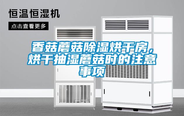 香菇蘑菇除濕烘干房，烘干抽濕蘑菇時(shí)的注意事項(xiàng)