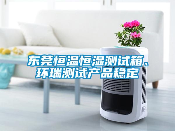 東莞恒溫恒濕測(cè)試箱、環(huán)瑞測(cè)試產(chǎn)品穩(wěn)定