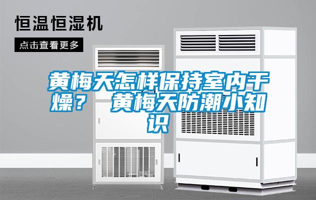 黃梅天怎樣保持室內干燥？ 黃梅天防潮小知識