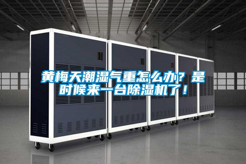 黃梅天潮濕氣重怎么辦？是時候來一臺除濕機了！