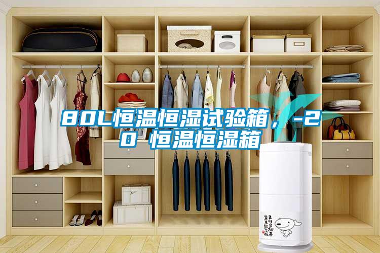 80L恒溫恒濕試驗(yàn)箱，-20℃恒溫恒濕箱