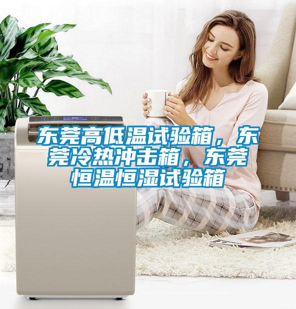 東莞高低溫試驗(yàn)箱，東莞冷熱沖擊箱，東莞恒溫恒濕試驗(yàn)箱