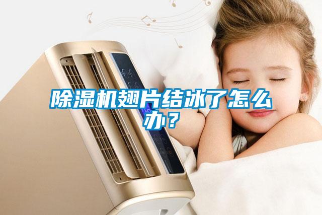 除濕機(jī)翅片結(jié)冰了怎么辦？