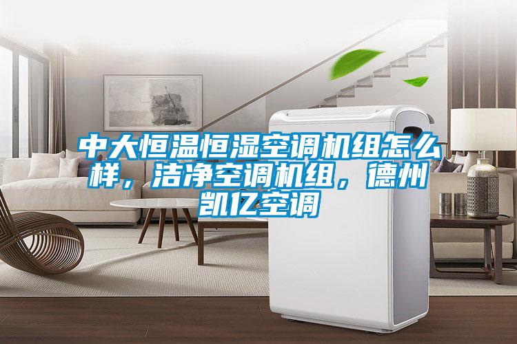 中大恒溫恒濕空調(diào)機(jī)組怎么樣，潔凈空調(diào)機(jī)組，德州凱億空調(diào)
