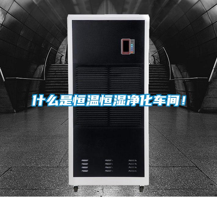 什么是恒溫恒濕凈化車間！