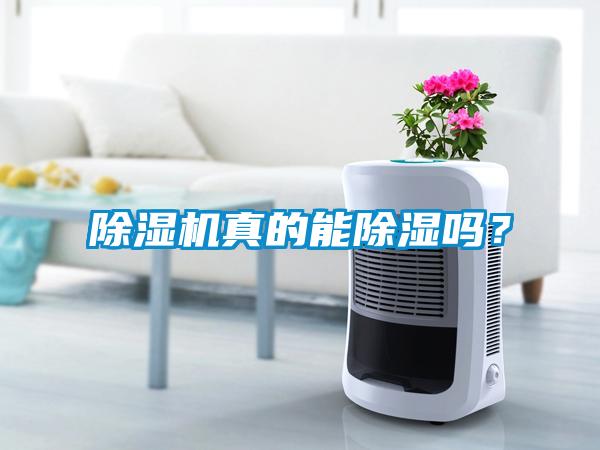 除濕機真的能除濕嗎？