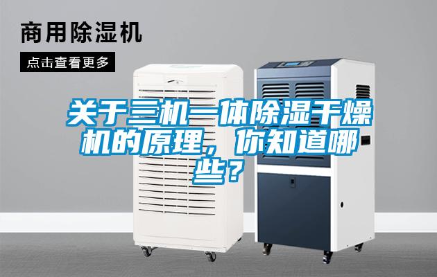 關(guān)于三機(jī)一體除濕干燥機(jī)的原理，你知道哪些？