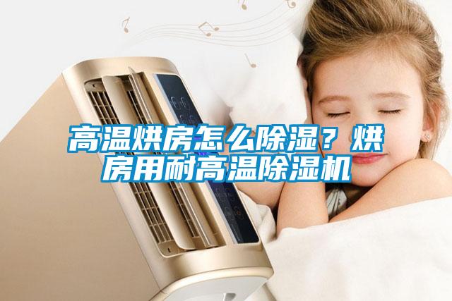 高溫烘房怎么除濕？烘房用耐高溫除濕機