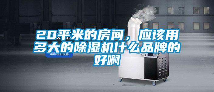 20平米的房間,應(yīng)該用多大的除濕機(jī)什么品牌的好啊