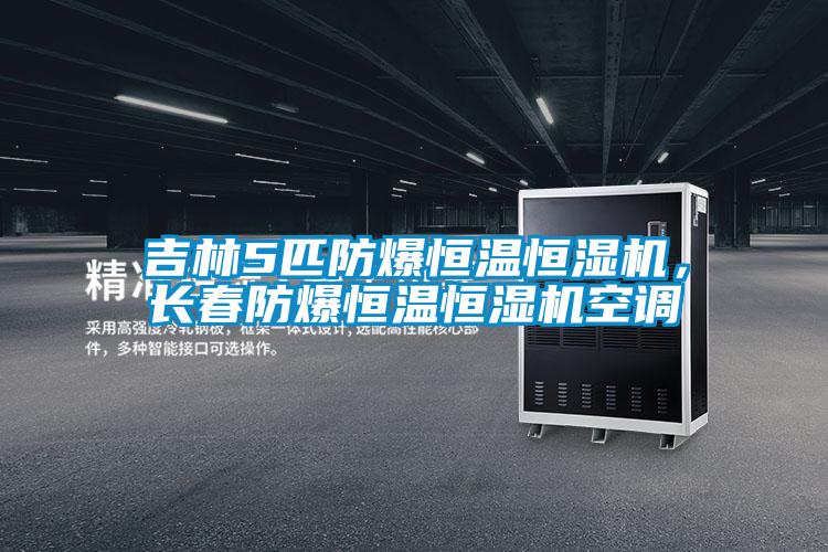 吉林5匹防爆恒溫恒濕機，長春防爆恒溫恒濕機空調(diào)