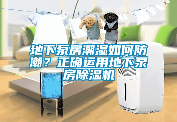 地下泵房潮濕如何防潮？正確運(yùn)用地下泵房除濕機(jī)