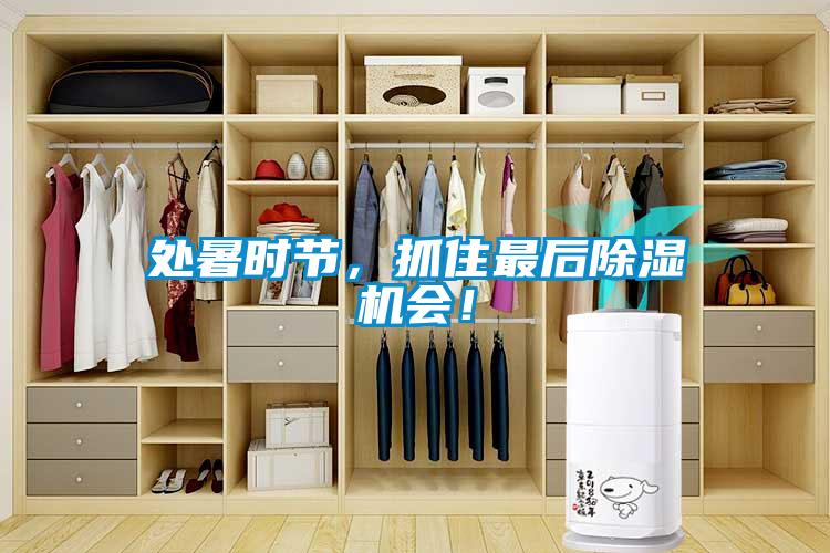 處暑時節(jié)，抓住最后除濕機會！