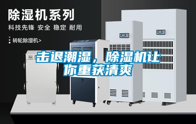 擊退潮濕，除濕機讓你重獲清爽