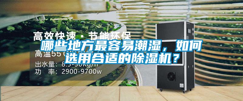 哪些地方最容易潮濕，如何選用合適的除濕機(jī)？