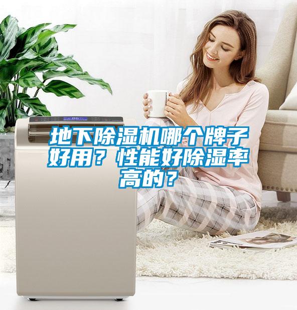 地下除濕機哪個牌子好用？性能好除濕率高的？