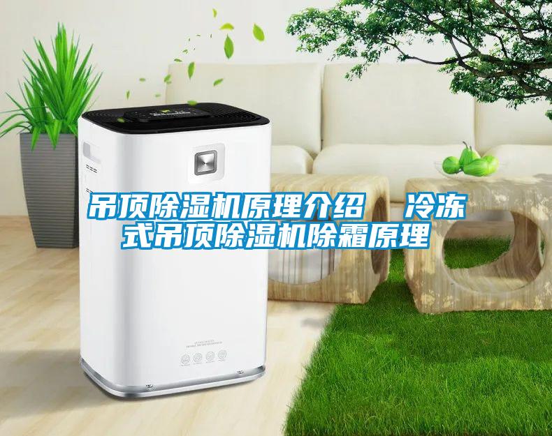 吊頂除濕機(jī)原理介紹 冷凍式吊頂除濕機(jī)除霜原理