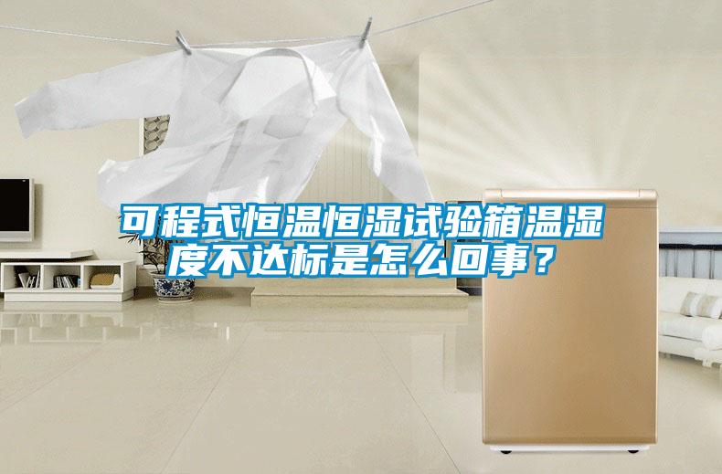 可程式恒溫恒濕試驗(yàn)箱溫濕度不達(dá)標(biāo)是怎么回事？
