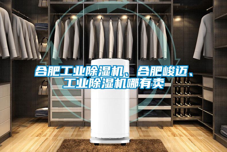 合肥工業(yè)除濕機(jī)、合肥峻邁、工業(yè)除濕機(jī)哪有賣