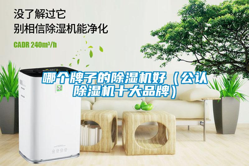 哪個牌子的除濕機好（公認(rèn)除濕機十大品牌）