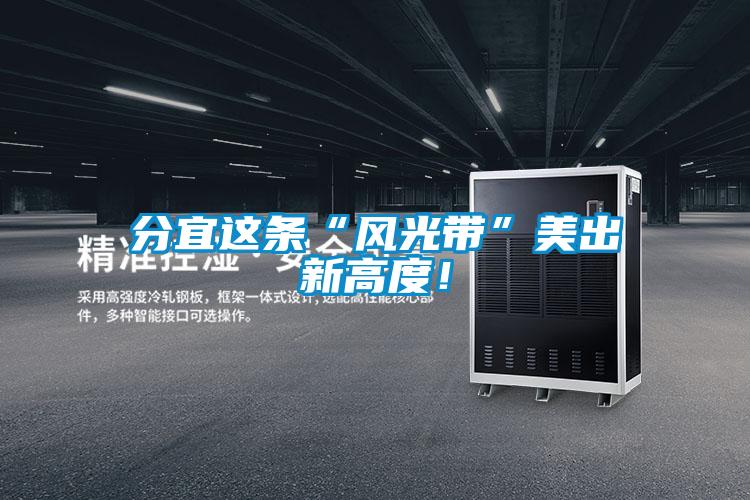 分宜這條“風光帶”美出新高度！