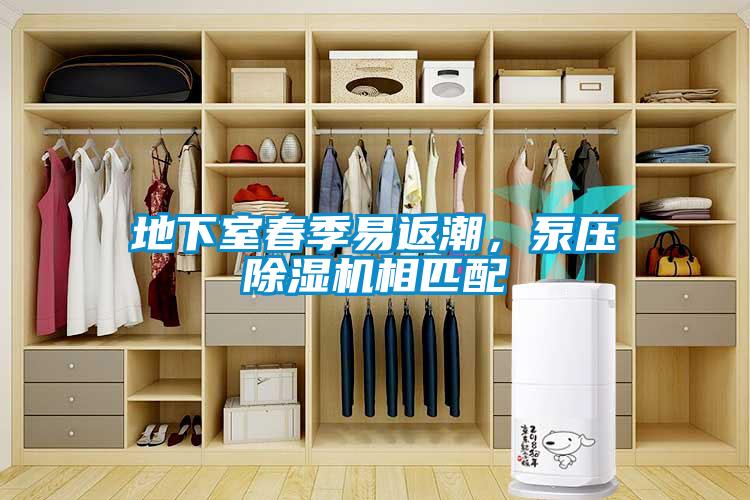 地下室春季易返潮，泵壓除濕機(jī)相匹配