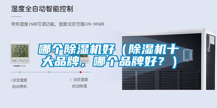 哪個(gè)除濕機(jī)好（除濕機(jī)十大品牌，哪個(gè)品牌好？）