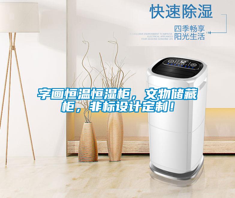 字畫恒溫恒濕柜，文物儲藏柜，非標設(shè)計定制！