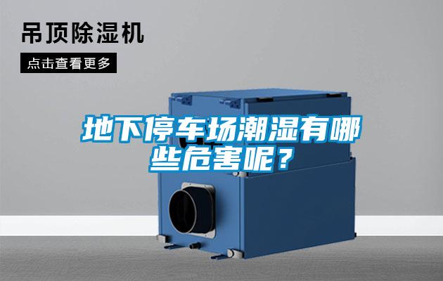 地下停車場(chǎng)潮濕有哪些危害呢？