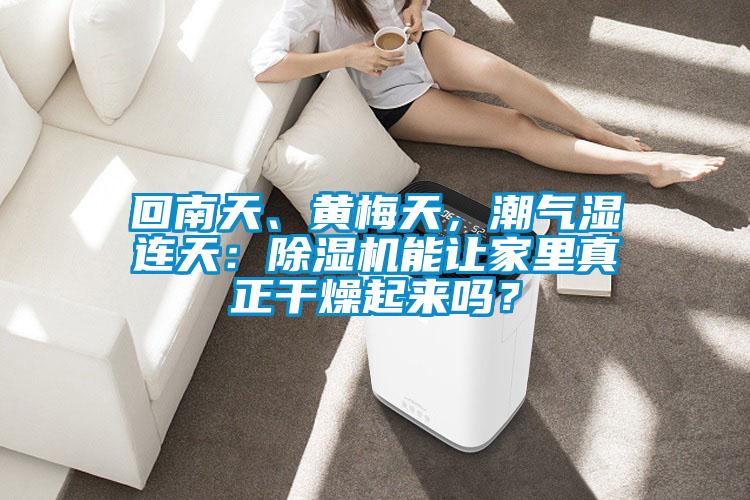 回南天、黃梅天，潮氣濕連天：除濕機(jī)能讓家里真正干燥起來(lái)嗎？